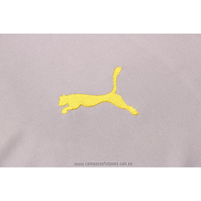 Chandal de Sudadera del Borussia Dortmund 2021-2022 Gris